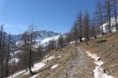 Chemin du lac des Grenouilles